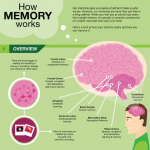 Improve Memory: Tips and Strategies for Better Recall