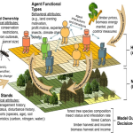 Climate Change Effects on Harvard Forest: A Labor of Love