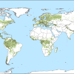 Tropical Forest Canopy Height Affected by Climate Change
